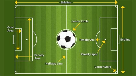 サッカーコート サイズ 大人: なぜピッチの広さは選手の夢の大きさを表すのか？